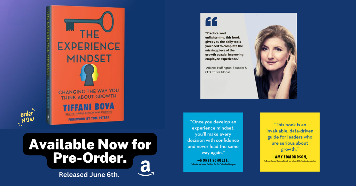Pre-Order The Experience Mindset