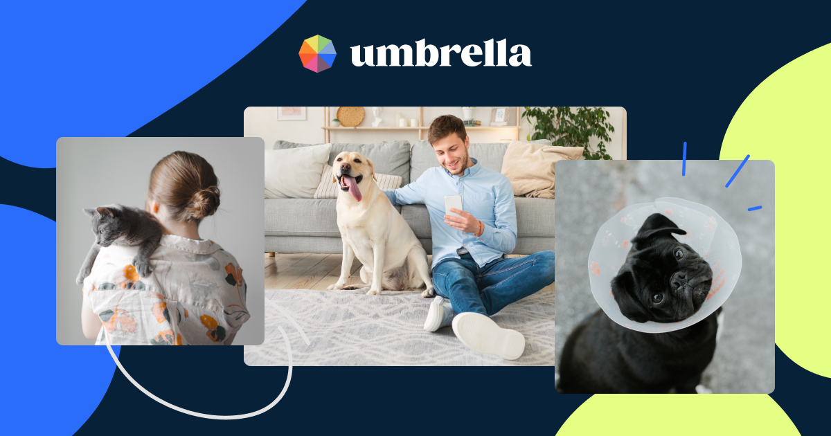 Umbrella Vet