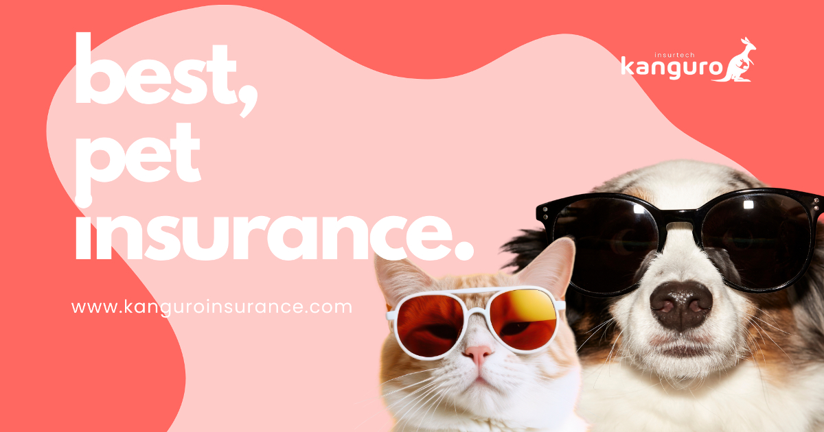 Pet Insurance in | Kanguro