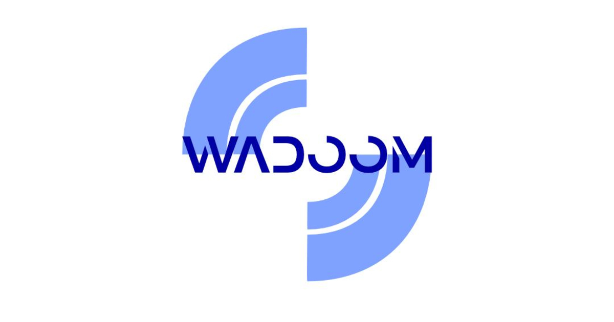 Wadoom: Estudio de Diseño y Desarrollo Web Premium