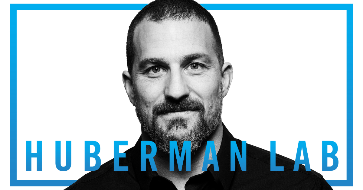 Huberman Lab Neural Network Newsletter