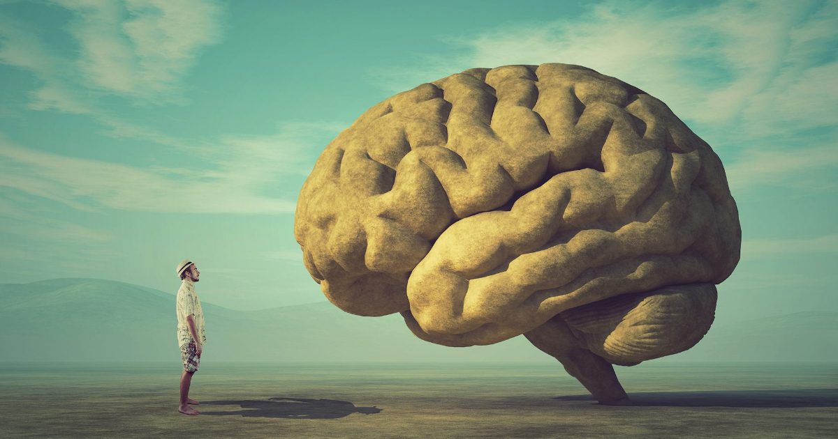 🧠 Part of your brain gets bigger as you get older